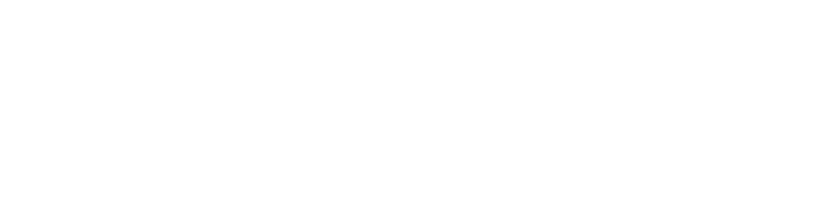 logo nsports